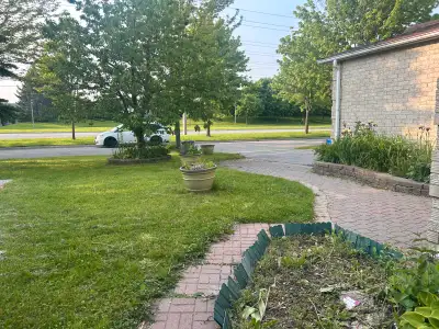 2 Beedroom walkout basement apartment rent from 1st August, 2025