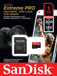 SanDisk SD External 1 TB Card