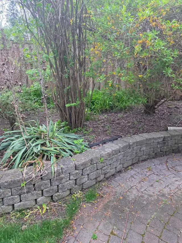 Wanted - Garden Landscape Design Help459814417833011203
