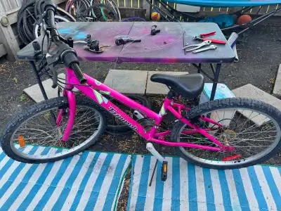 triumph challenger mountain bike 24 inch tires, View more