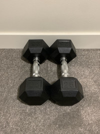 25 lbs set of two