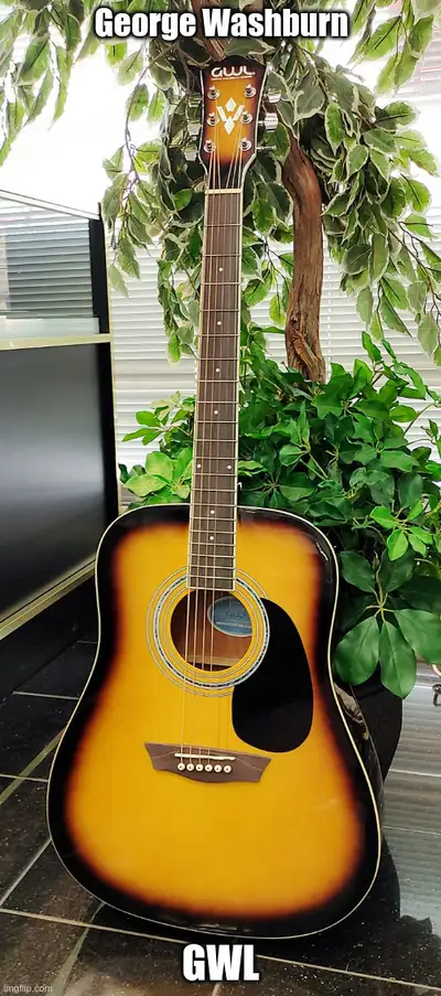 GWL acoustiic guitar George Washburn, View more
