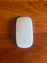 Apple Magic Mouse 2nd gen