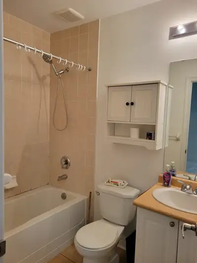 1BR Basement (In-Law Suite) for Rent in Brampton, View more