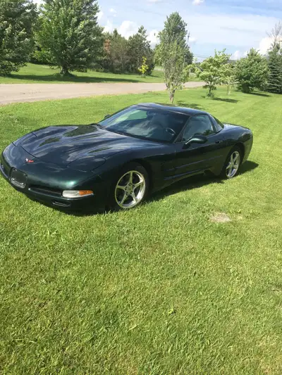 2001 Corvette Coupe removable sunroof , loaded with options . Never winter driven , originally Arizo...