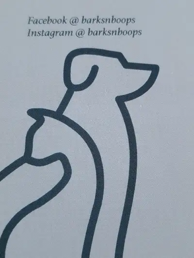  Barks N Boops Pet Sitting , View more