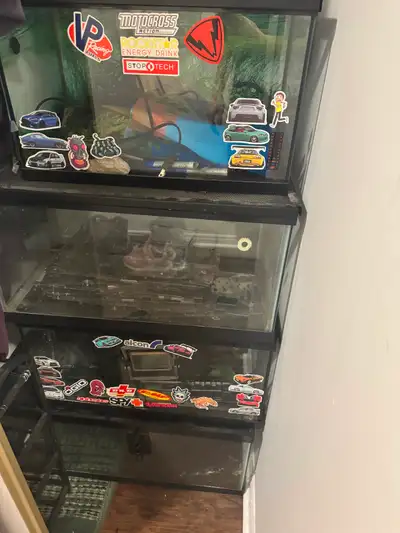 I’m selling away 4 reptile/fish aquariums. ( first ever post ), View more