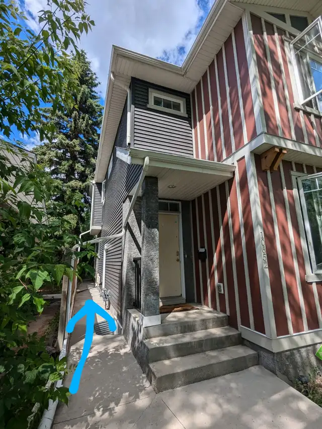 Allandale 2 Bdrm Basement - Tall Ceilings W/ Walk-In Closet