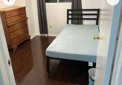 Upstairs individual room available from 1 Sept 2026 - 5 mins walk from Sheridan college Davis campus...