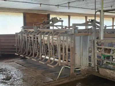 Double 6 Parallel Parlor for Sale, View more