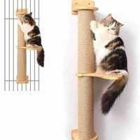 Cat Scratching Post