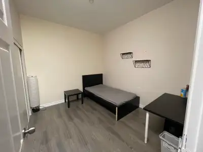 room for rent near  U of T St George Campus