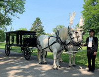 Funeral service horse drawn hearse for hire