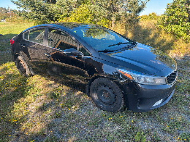 2018 Kia forte in Cars & Trucks in Sudbury - Image 2