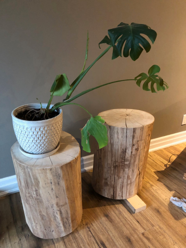 Stump tables in Home Décor & Accents in Kawartha Lakes