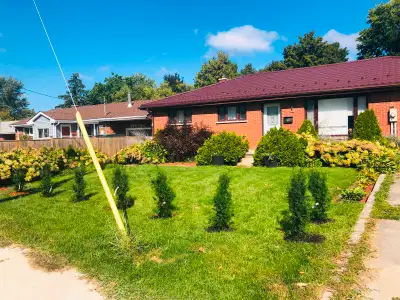 1 bedroom basement apartment for rent