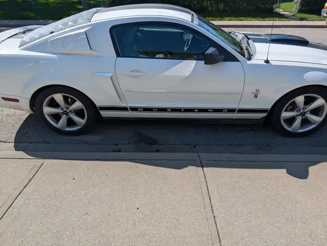 2007 V6 Mustang552033490337146882