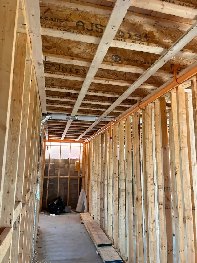 Framing Carpenter service418857269037649924