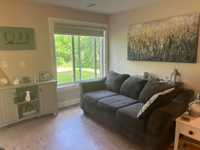 Welcome to this spacious lower-level walkout apartment