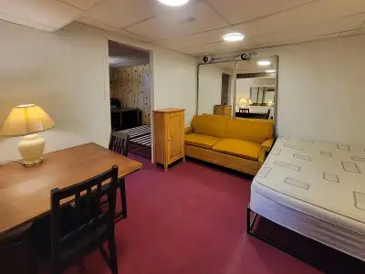 A FEMALE student or university graduate roomer wanted (preferably from India, Iran or some other com...