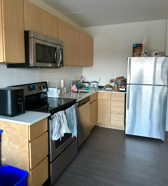 Room for Summer Rent with Own Bathroom in Room Rentals & Roommates in Ottawa - Image 7