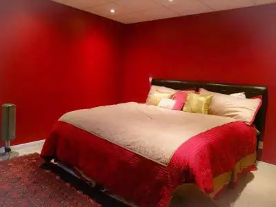 Nice and spacious basement for rent in Orleans - Available April 15 2026 Professionally finished Low...