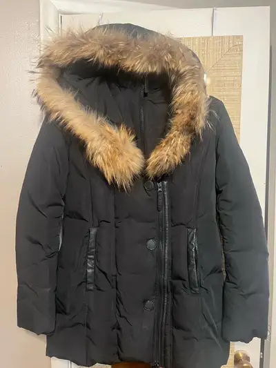  Winter Coat, View more