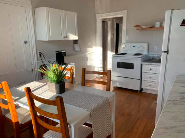 Room for Female Sublet May-September in Room Rentals & Roommates in City of Halifax - Image 3