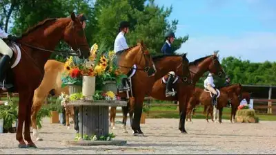 Horse Show July 26th, 2025, View more