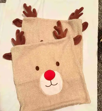 Throw pillow cover, View more