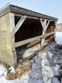 Calf shelters 