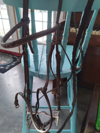 English saddle with bridle