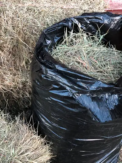 Good quality grass hay mix. No alfalfa. Great for your pet rabbit or guinea pig. Sold by the bag. Te...