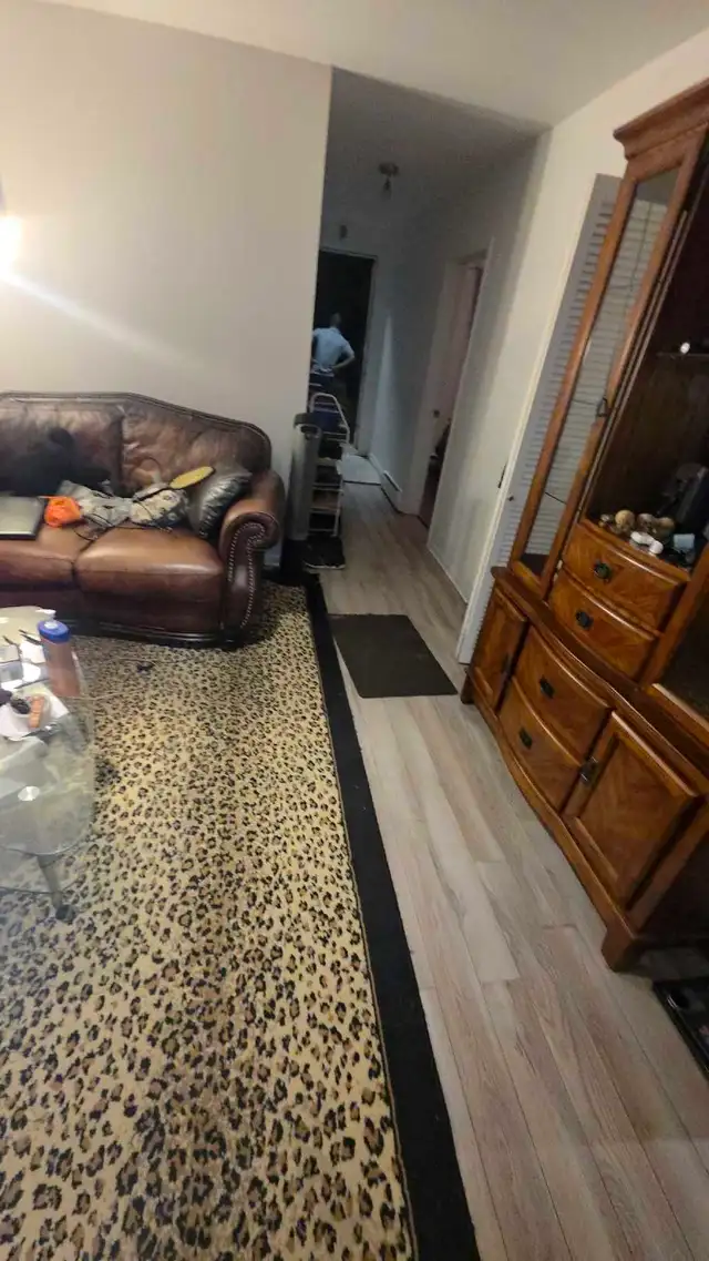 Home Cleaning Services  $25/h559731876372817926