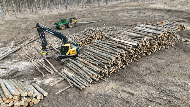 Firewood logs for sale in Fireplace & Firewood in Barrie - Image 2