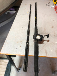 Downrigger rods and reel