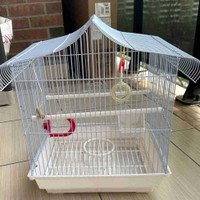 Small Bird Starter Kit