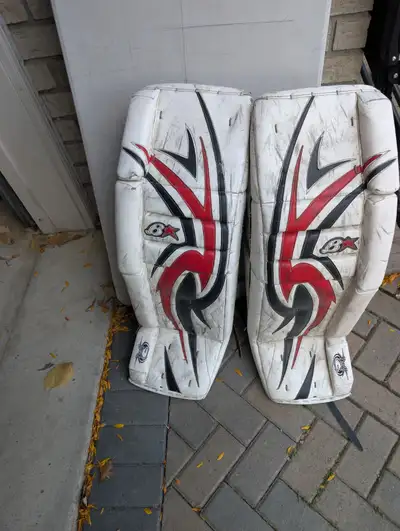 Brian's Goalie Pads, View more