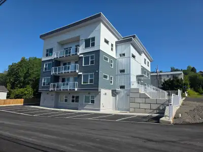 Luxury vinyl plank floors Bright Clean Quiet Low maintenance Extra storage Secure building with thou...