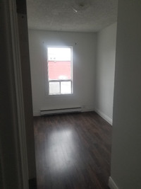 Appartement, 4 1/2 à louer en colocation dans Limoilou.