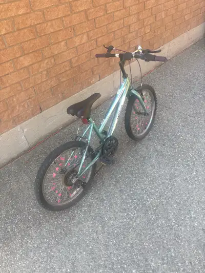 Movelo  algonquin20 inch Bike, View more