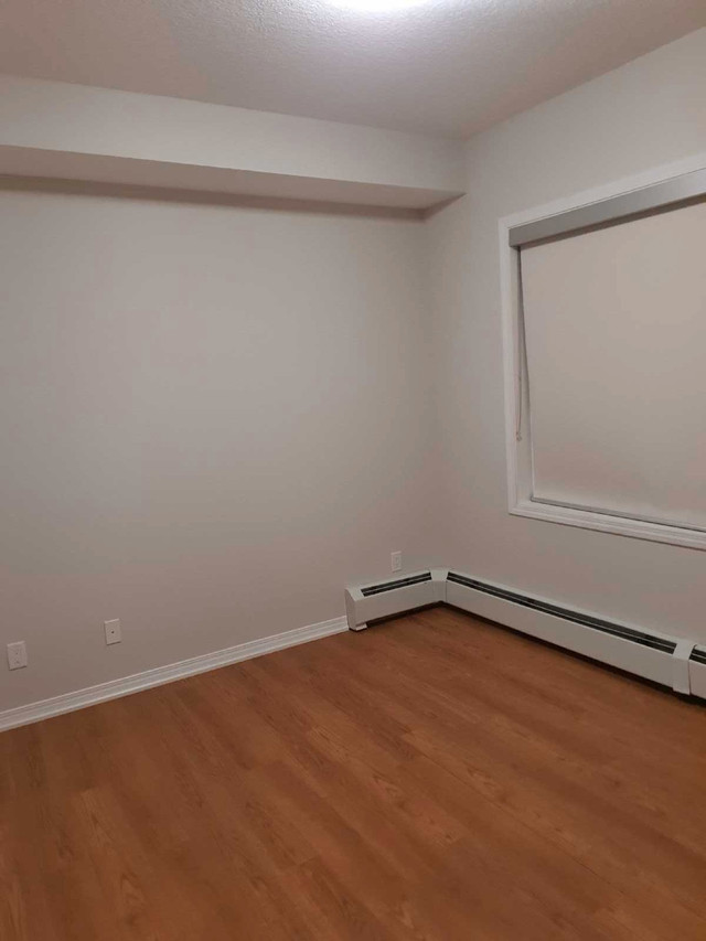 Room for rent NW  in Room Rentals & Roommates in Calgary - Image 2