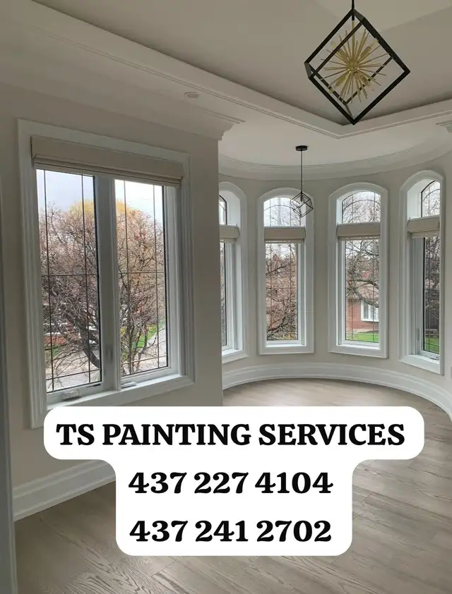 Professional Painter628632218382091224