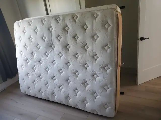 Free Queen pillow top mattres box spring and frame in Free Stuff in Summerside - Image 2