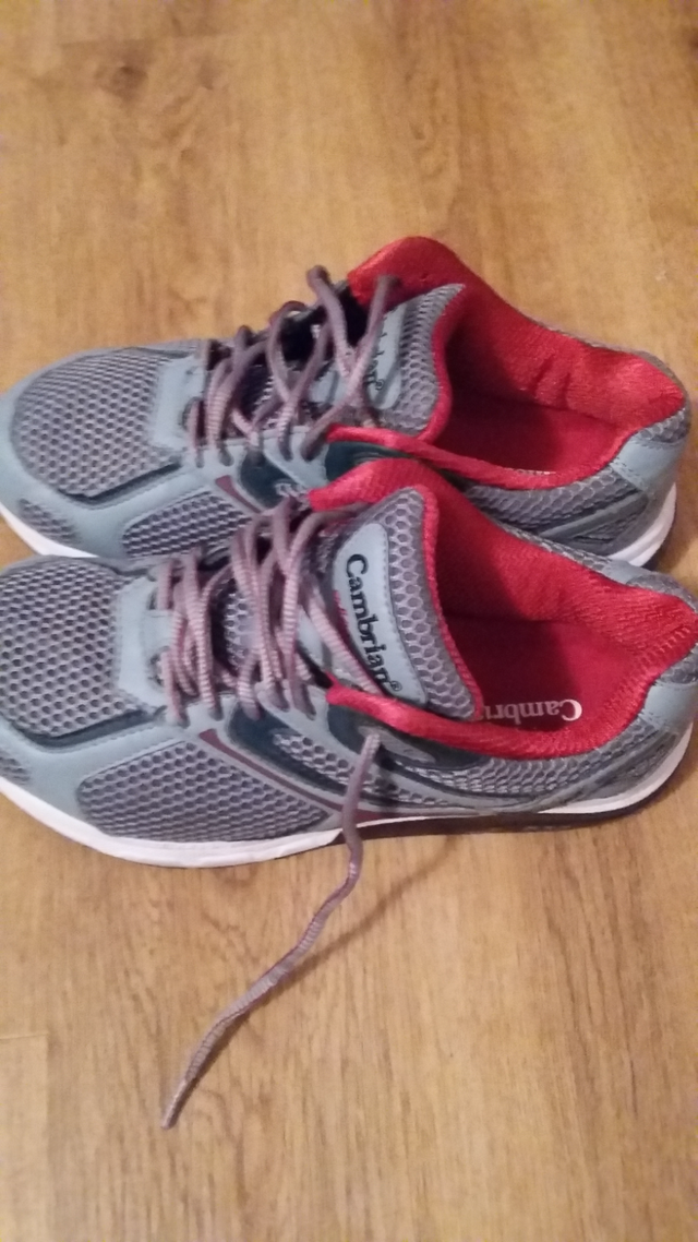 Cambrian Sneakers in Women's - Shoes in Annapolis Valley - Image 3