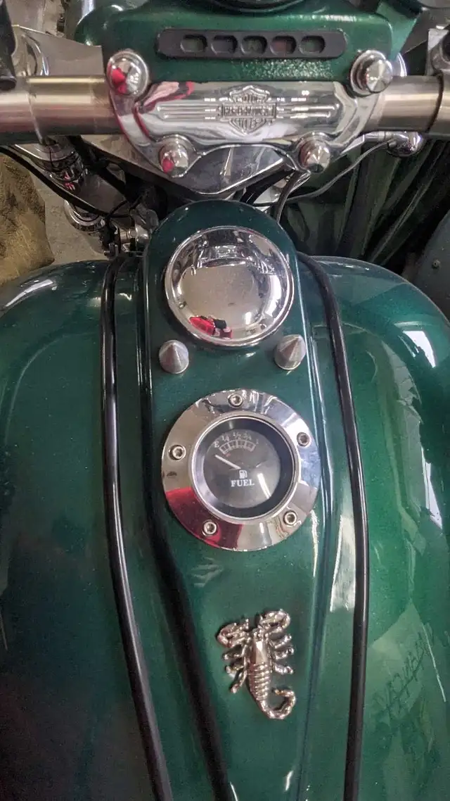2002 Harley Davidson Trike in Street, Cruisers & Choppers in Oshawa / Durham Region - Image 8
