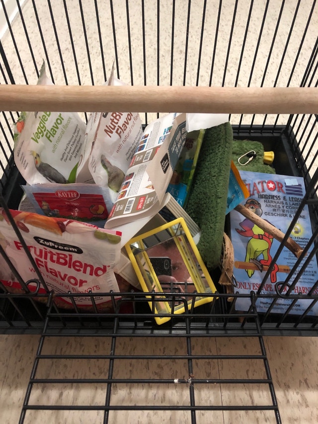 Bird Cage Accessories Hamilton Kijiji