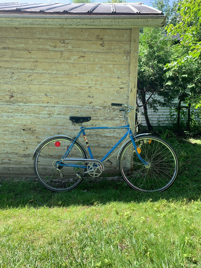 Supercycle 5 speed bicycle in Mountain in City of Toronto - Image 4