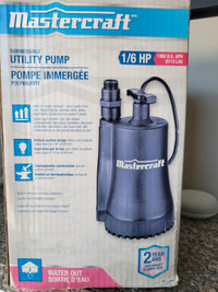 Utility Pump - 1/6 HP - Mastercraft