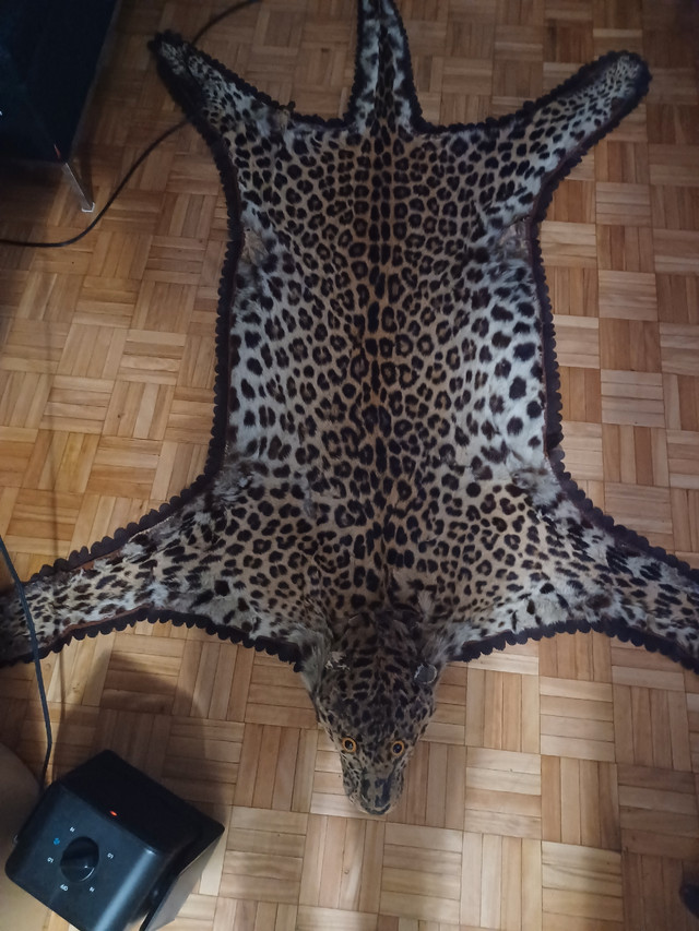 Leopard skin rug in Other in City of Toronto - Image 3